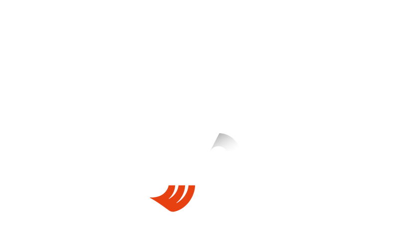 Aurum 1006 km